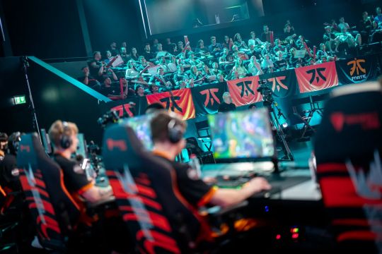 培养提供了 培养提供了